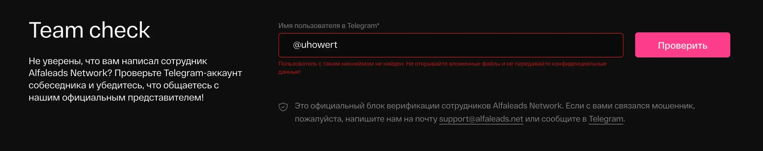 Team Check_Fake.webp